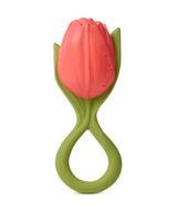 Mordedor Theo, A TULIPA