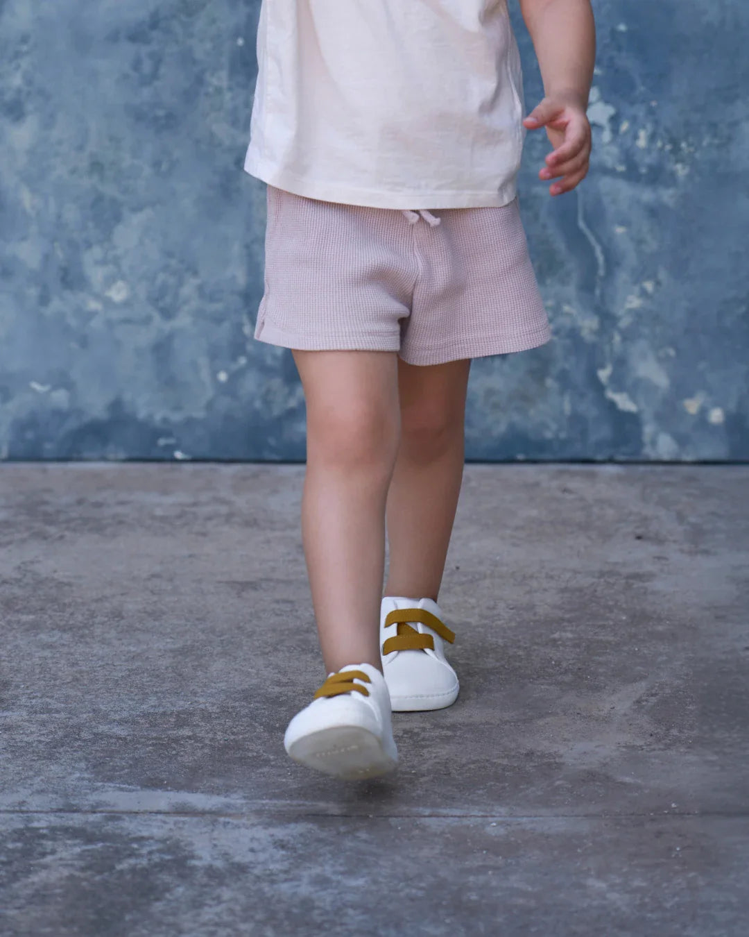 Velcro TERRE MURIS