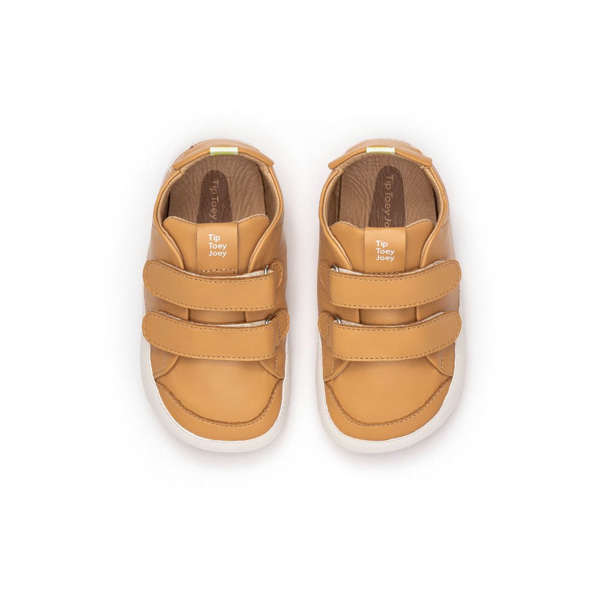 Tip Toey Joey Bossy CAMEL