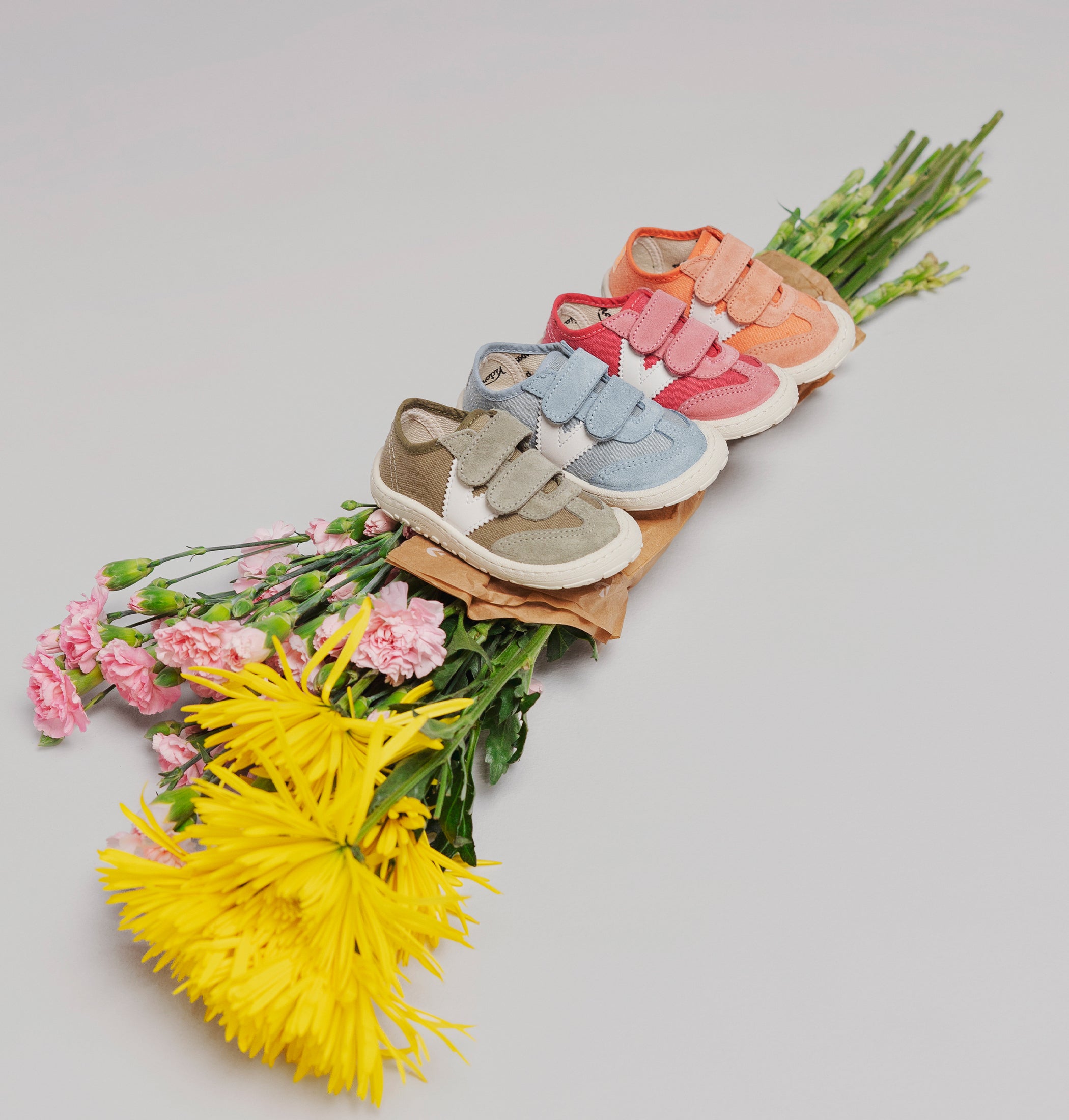 Victoria Lonas Bosco FRESA