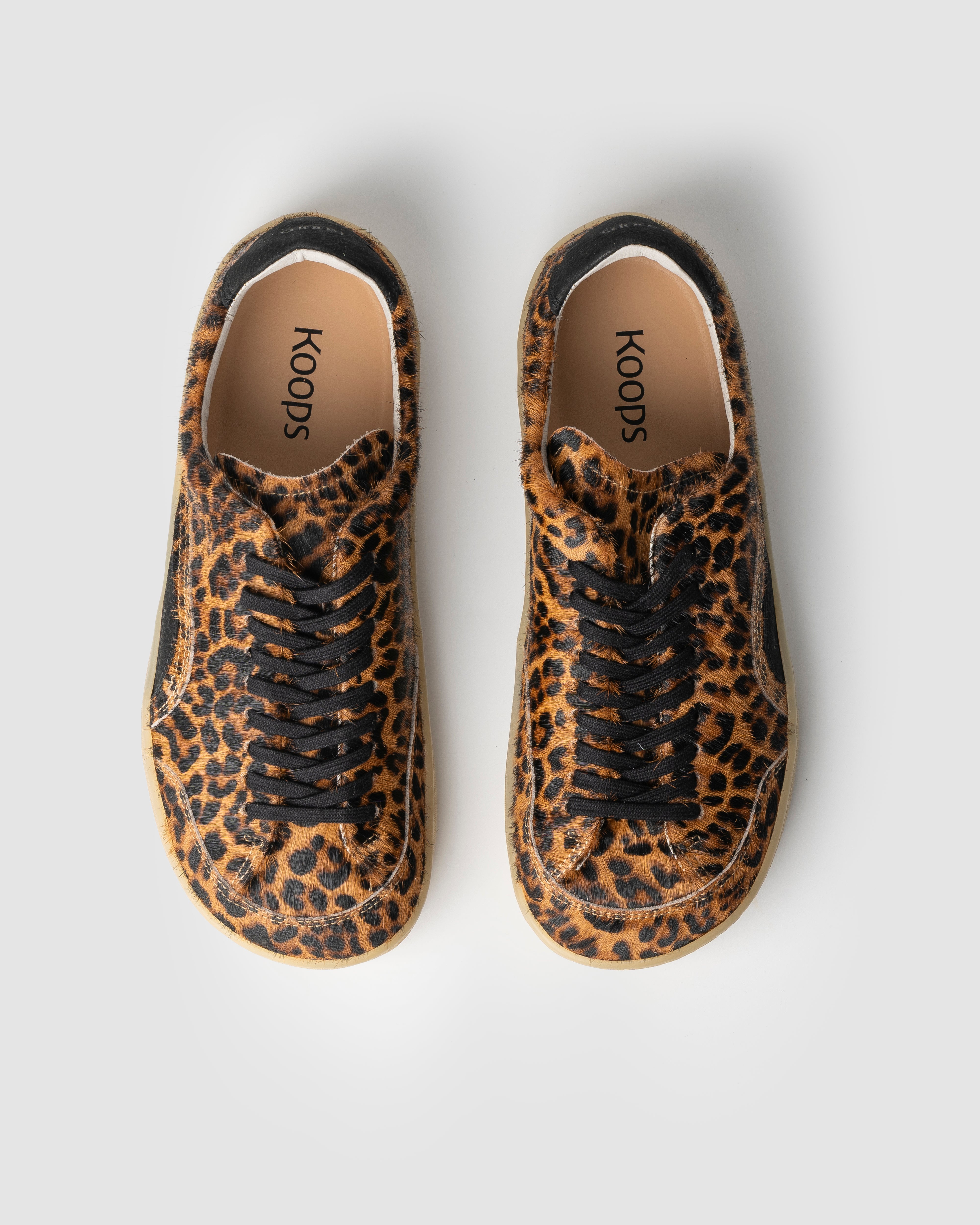 Koops Kai LEOPARDO ADULTO