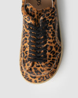 Koops Kai LEOPARDO ADULTO