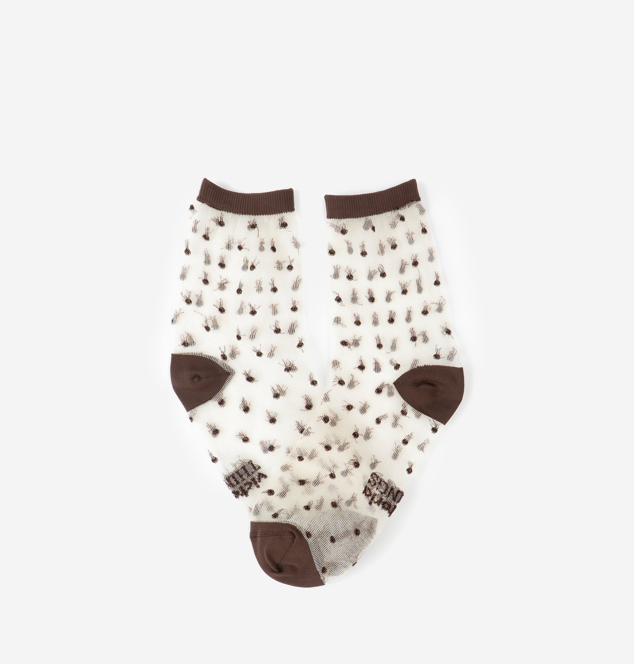 Meias Victoria Adulto TRANSPARENTES CASTANHO