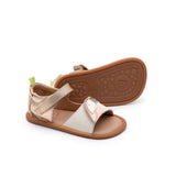 Tip Toey Joey TOUCAN (tucano)