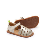 Tip Toey Joey TROPICALLY