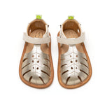 Tip Toey Joey TROPICALLY