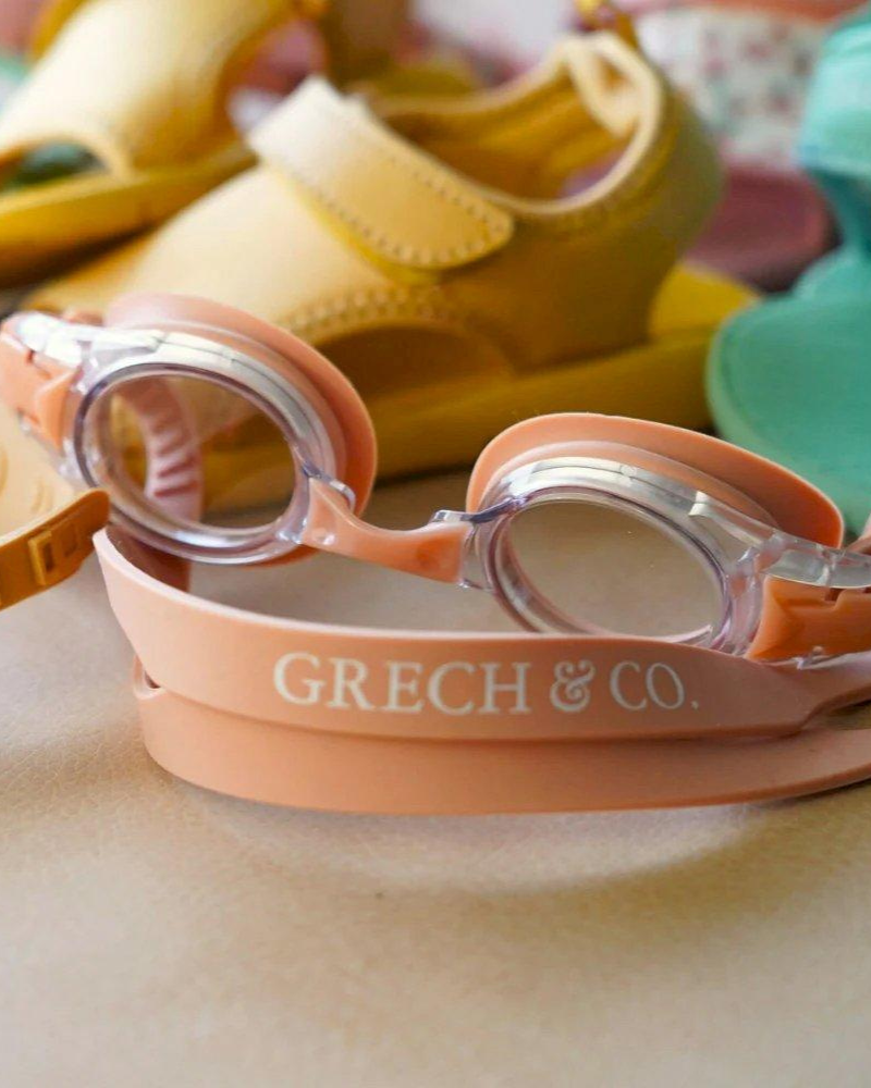 SALMON Swimming Goggles